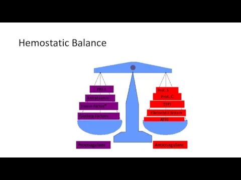 Hemostatic Balance ATIII Clotting Factors Tissue factor* PAI-1 Antiplasmin TFPI