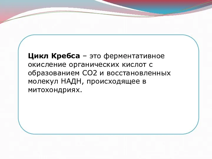 Цикл Кребса – это ферментативное окисление органических кислот с образованием