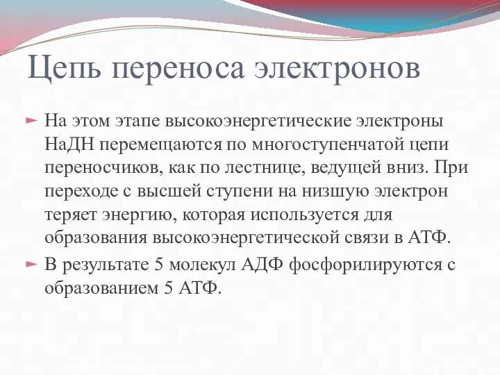 Цепь переноса электронов На этом этапе высокоэнергетические электроны НаДН перемещаются