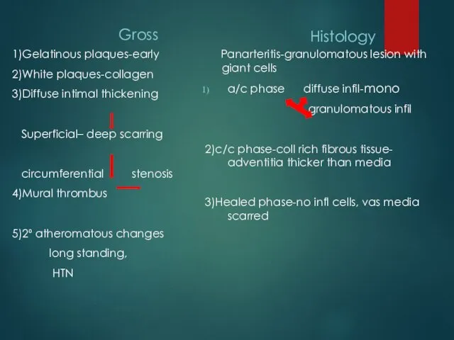 Gross 1)Gelatinous plaques-early 2)White plaques-collagen 3)Diffuse intimal thickening Superficial– deep