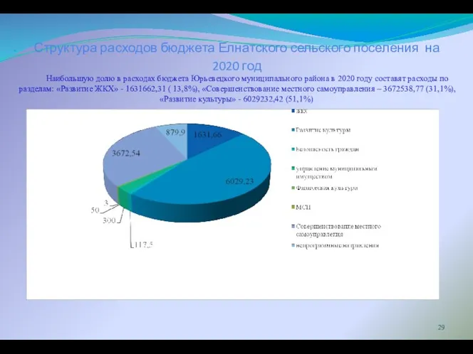 Структура расходов бюджета Елнатского сельского поселения на 2020 год Наибольшую