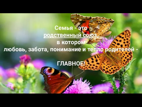 Семья - это родственный союз, в котором любовь, забота, понимание и тепло родителей - ГЛАВНОЕ!