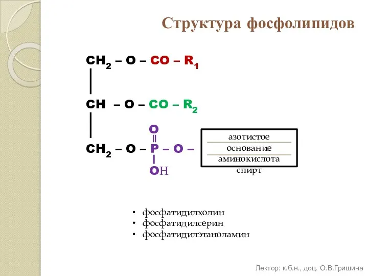 Структура фосфолипидов CH2 – O – CO – R1 CH