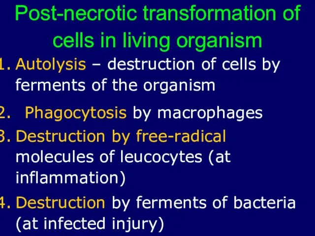Post-necrotic transformation of cells in living organism Autolysis – destruction