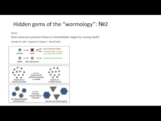 Hidden gems of the “wormology”: №2