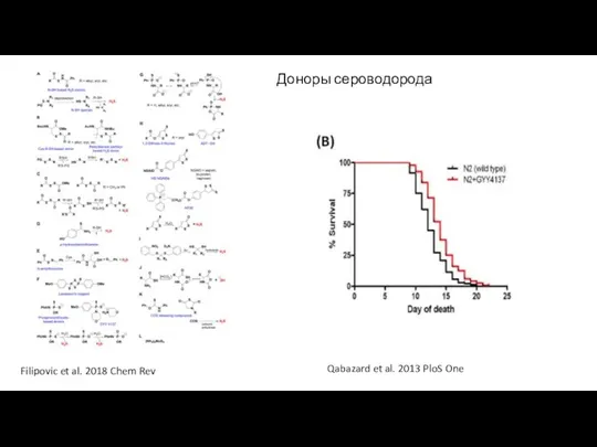 Filipovic et al. 2018 Chem Rev Доноры сероводорода Qabazard et al. 2013 PloS One