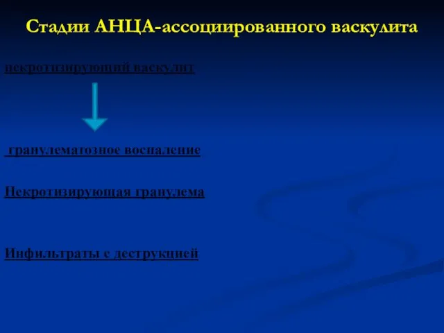 Стадии АНЦА-ассоциированного васкулита некротизирующий васкулит гранулематозное воспаление Некротизирующая гранулема Инфильтраты с деструкцией