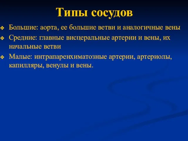 Типы сосудов Большие: аорта, ее большие ветви и аналогичные вены