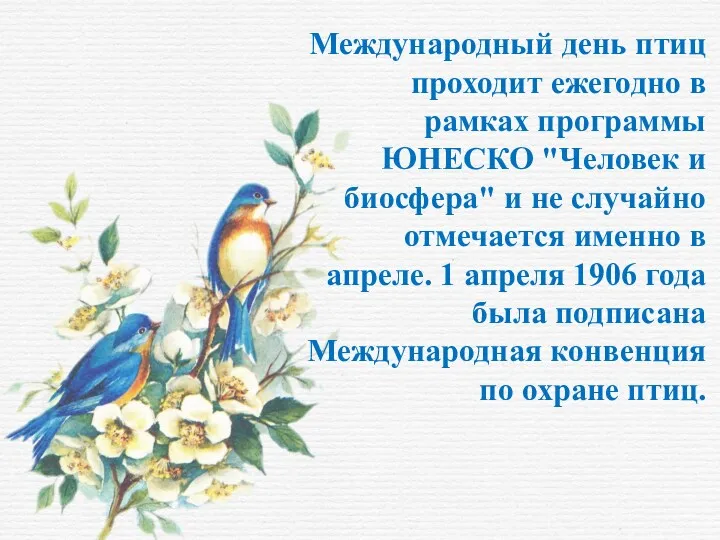 Международный день птиц проходит ежегодно в рамках программы ЮНЕСКО "Человек