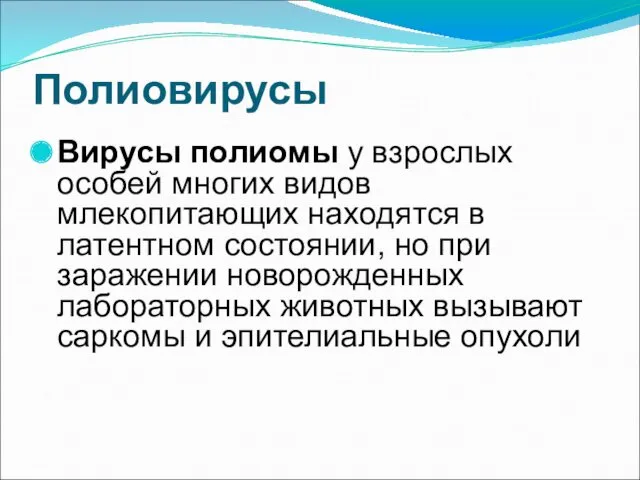 Полиовирусы Вирусы полиомы у взрослых особей многих видов млекопитающих находятся