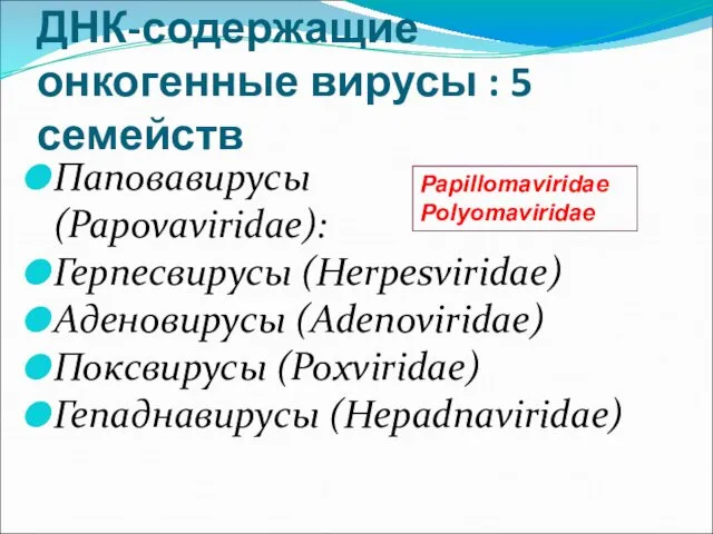 ДНК-содержащие онкогенные вирусы : 5 семейств Паповавирусы (Papovaviridae): Герпесвирусы (Herpesviridae)