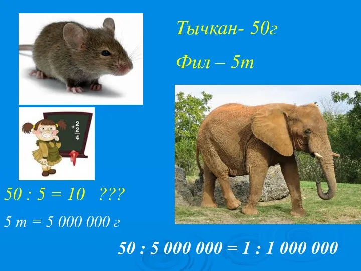 Тычкан- 50г Фил – 5т 50 : 5 = 10