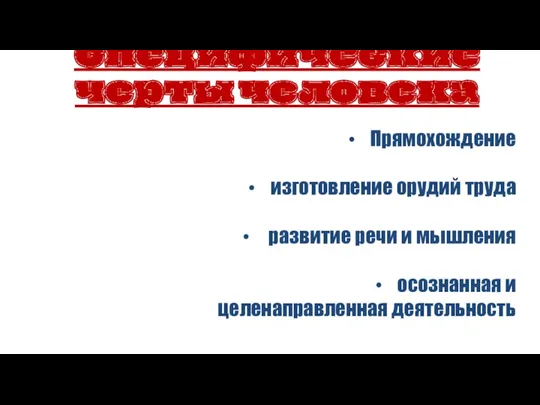 Специфические черты человека Прямохождение изготовление орудий труда развитие речи и мышления осознанная и целенаправленная деятельность