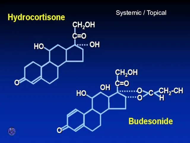 STEROID PREPARATIONS Systemic / Topical