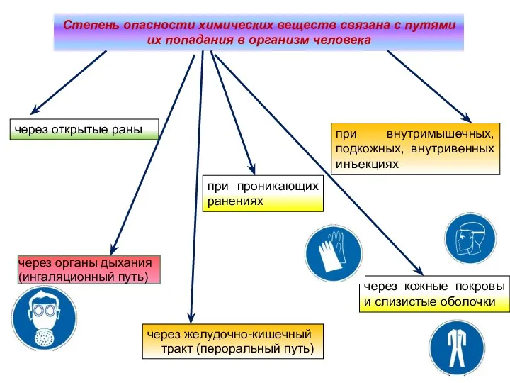 Степень опасности химических веществ связана с путями их попадания в