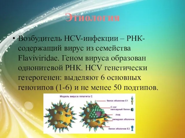 Этиология Возбудитель HСV-инфекции – РНК-содержащий вирус из семейства Flaviviridae. Геном