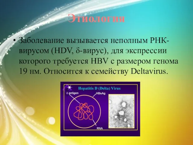 Этиология Заболевание вызывается неполным РНК-вирусом (HDV, δ-вирус), для экспрессии которого
