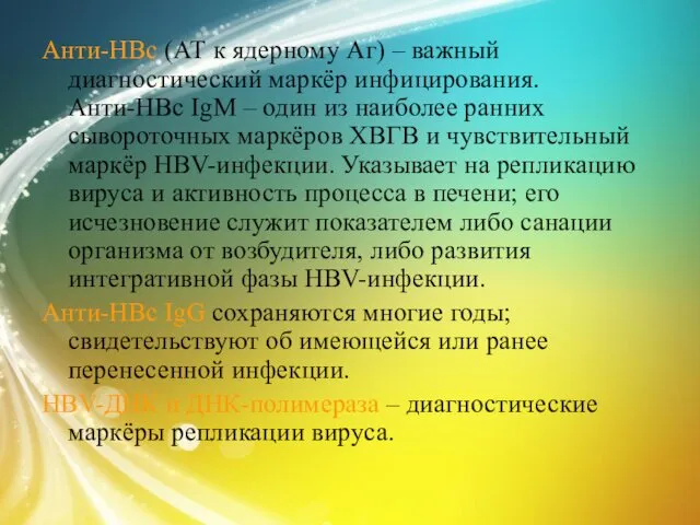 Анти-HBc (АТ к ядерному Аг) – важный диагностический маркёр инфицирования.