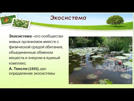 Экосистема Экосистема –это сообщество живых организмов вместе с физической средой