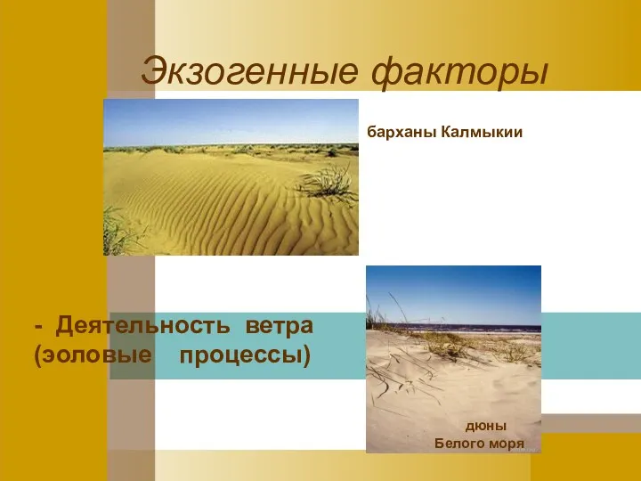 барханы Калмыкии дюны Белого моря Экзогенные факторы - Деятельность ветра (эоловые процессы)