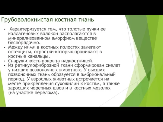 Грубоволокнистая костная ткань Характеризуется тем, что толстые пучки ее коллагеновых