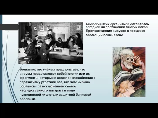 Биология этих организмов оставалась загадкой на протяжении многих веков. Происхождение