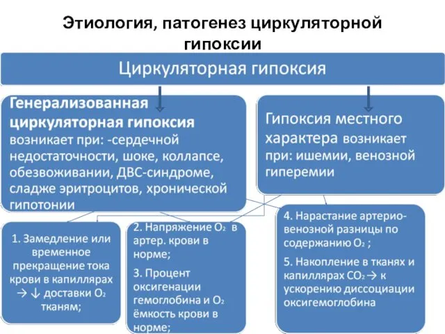 Этиология, патогенез циркуляторной гипоксии