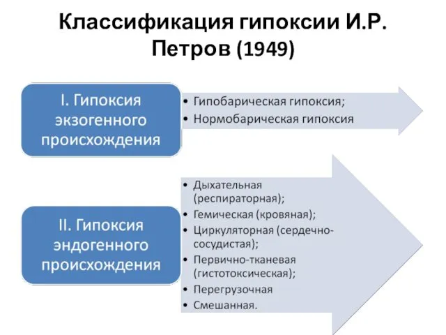 Классификация гипоксии И.Р.Петров (1949)