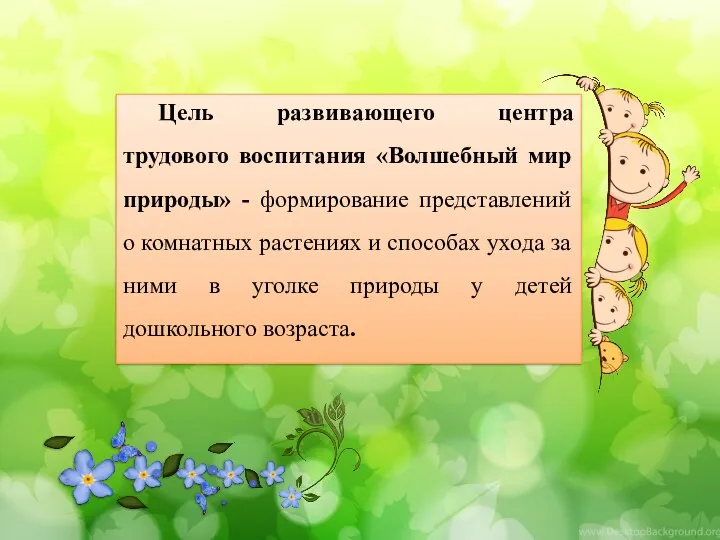 Цель развивающего центра трудового воспитания «Волшебный мир природы» - формирование