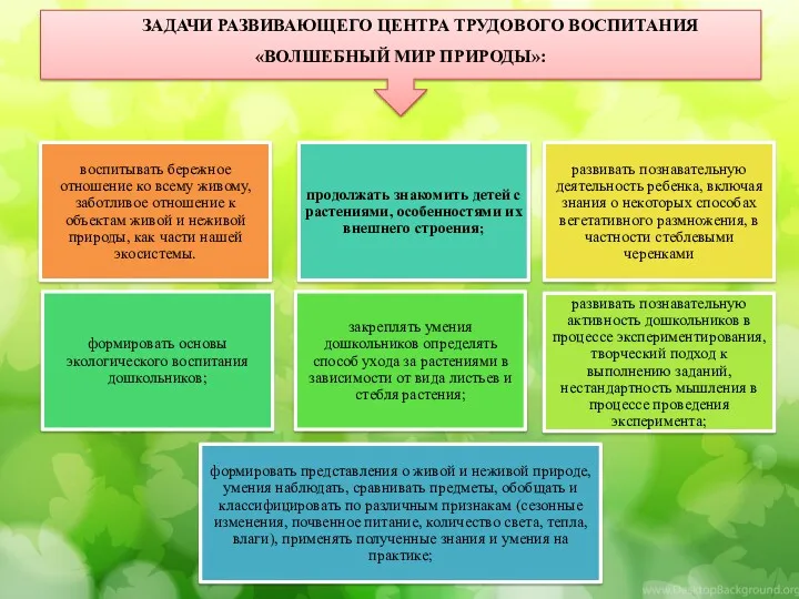 ЗАДАЧИ РАЗВИВАЮЩЕГО ЦЕНТРА ТРУДОВОГО ВОСПИТАНИЯ «ВОЛШЕБНЫЙ МИР ПРИРОДЫ»: