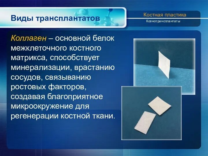 Виды трансплантатов Костная пластика Ксенотрансплантаты Коллаген – основной белок межклеточного костного матрикса, способствует