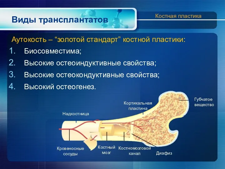 Виды трансплантатов Аутокость – “золотой стандарт” костной пластики: Биосовместима; Высокие