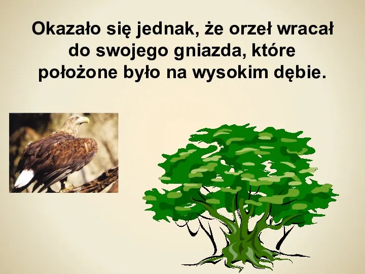 Okazało się jednak, że orzeł wracał do swojego gniazda, które położone było na wysokim dębie.