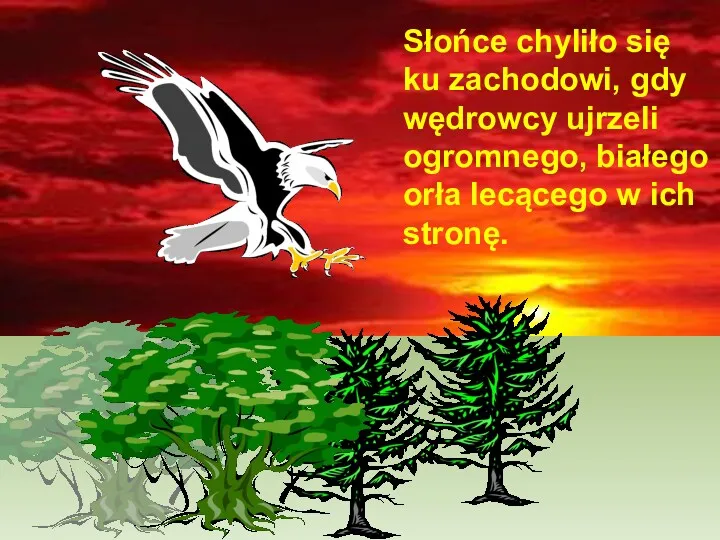 Słońce chyliło się ku zachodowi, gdy wędrowcy ujrzeli ogromnego, białego orła lecącego w ich stronę.