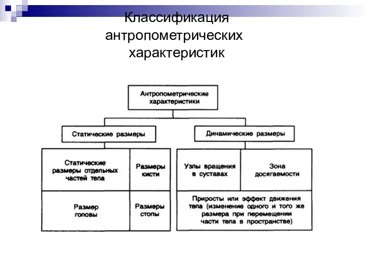 Классификация антропометрических характеристик