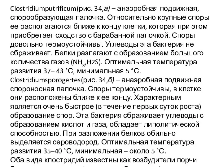 Clostridiumputrificum(рис. 34,а) – анаэробная подвижная, спорообразующая палочка. Относительно крупные споры ее располагаются ближе