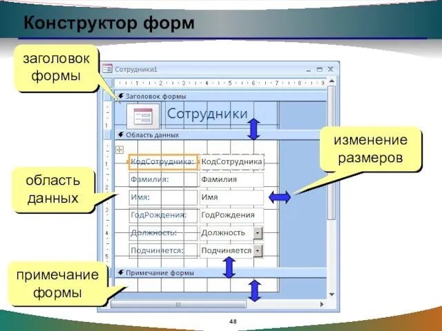 Конструктор форм заголовок формы область данных примечание формы изменение размеров