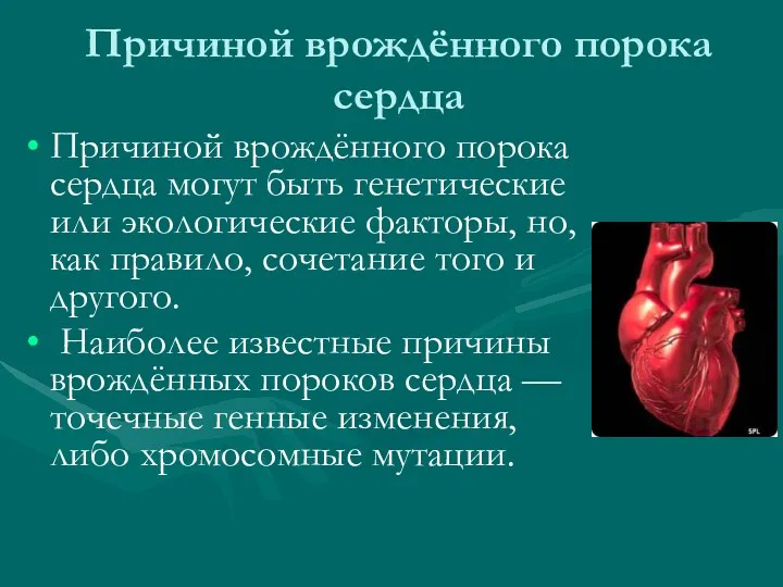 Причиной врождённого порока сердца Причиной врождённого порока сердца могут быть генетические или экологические