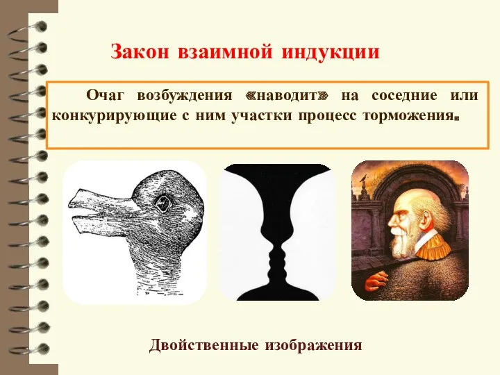 Закон взаимной индукции Очаг возбуждения «наводит» на соседние или конкурирующие