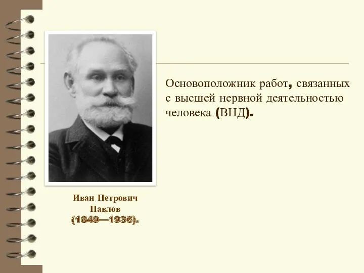 Иван Петрович Павлов (1849—1936). Основоположник работ, связанных с высшей нервной деятельностью человека (ВНД).