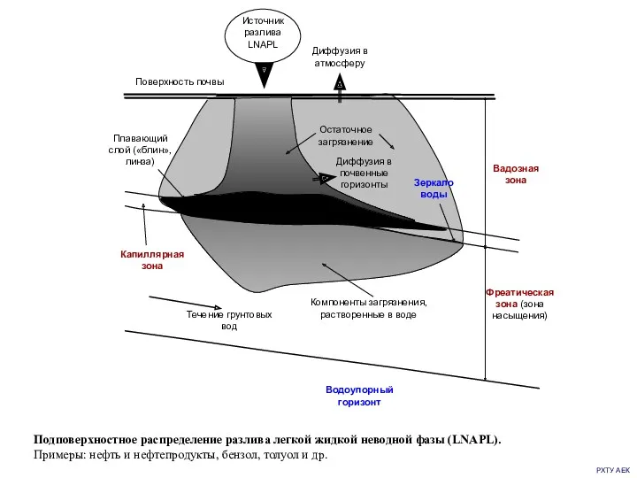 РХТУ АЕК Подповерхностное распределение разлива легкой жидкой неводной фазы (LNAPL).