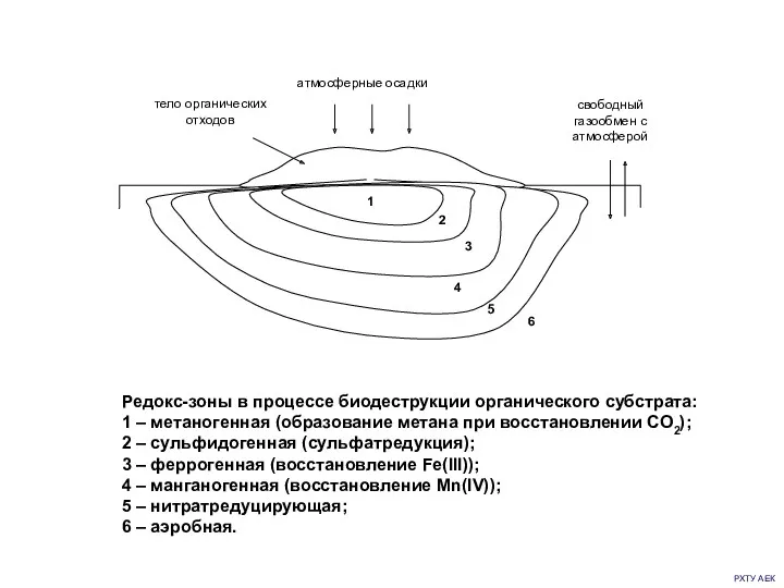 РХТУ АЕК Редокс-зоны в процессе биодеструкции органического субстрата: 1 –