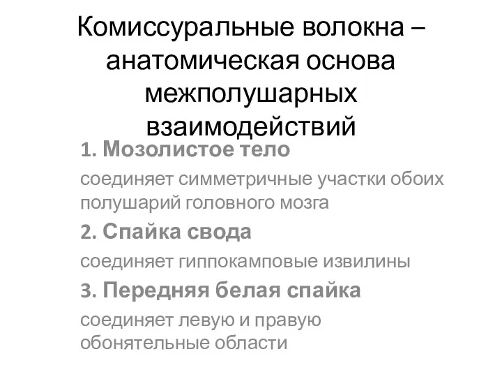 Комиссуральные волокна – анатомическая основа межполушарных взаимодействий 1. Мозолистое тело