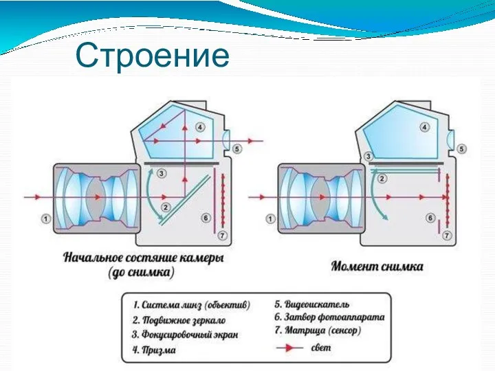 Строение фотоаппарата