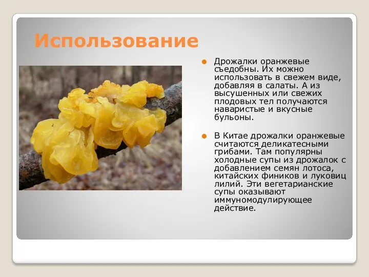 Использование Дрожалки оранжевые съедобны. Их можно использовать в свежем виде,