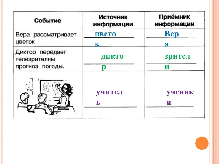 цветок Вера диктор зрители учитель ученики