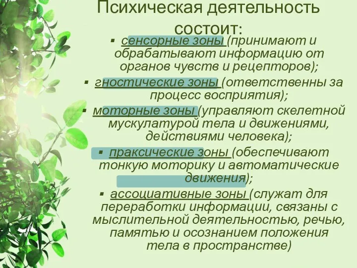 Психическая деятельность состоит: сенсорные зоны (принимают и обрабатывают информацию от