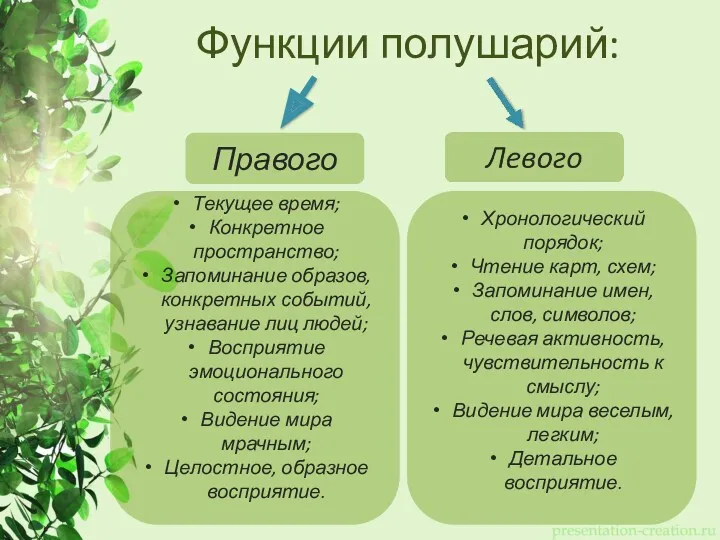 Функции полушарий: Правого Текущее время; Конкретное пространство; Запоминание образов, конкретных
