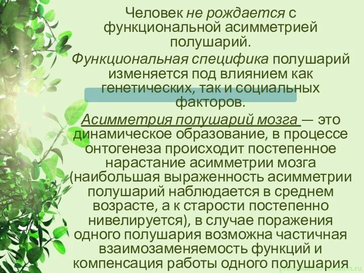 Человек не рождается с функциональной асимметрией полушарий. Функциональная специфика полушарий