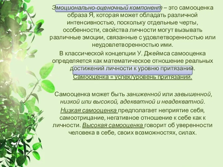 Эмоционально-оценочный компонент – это самооценка образа Я, которая может обладать